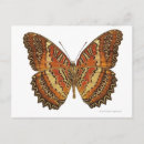 Recherche de pretty cartes postales Cute