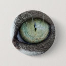 Recherche de chat yeux badges Regard