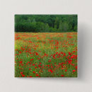 Recherche de coquelicot badges Pavot