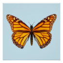 Recherche de monarque posters Été