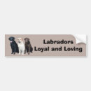 Recherche de labradors voiture autocollants Laboratoires