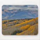 Recherche de arbre peuplier tapis souris Montagne rocheuse