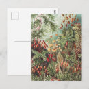 Recherche de illustration scientifique cartes postales Ernst haeckel