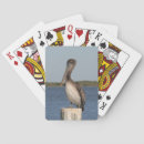 Recherche de pélicans jeux de cartes Plage