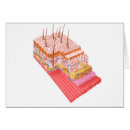 Recherche de sensoriel cartes postales Horizontale