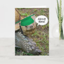 Recherche de tortues vœux cartes Drôle