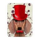 Recherche de teckel magnets Steampunk