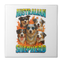 Recherche de berger australien carreaux Chiot