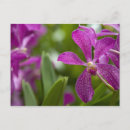 Recherche de cindy cartes postales Coloré