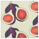 Recherche de figuration Violet
