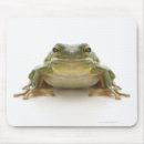 Recherche de frog tapis souris Animal