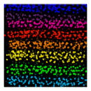 Recherche de couleur posters Arc en ciel