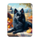 Recherche de chiot vintage magnets Dog
