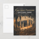 Recherche de carlsbad cartes postales Carlsbad cavernes parc national