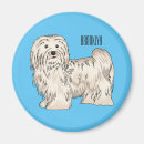 Recherche de bichon magnets Animal