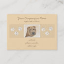 Recherche de pei shar cartes visite Chiot