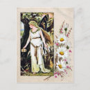Recherche de fée papillon cartes postales Farine