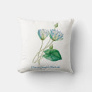 Recherche de lotus de coussins Illustration