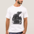 Recherche de exposition de m men Animal