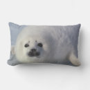 Recherche de phoque coussins Neige