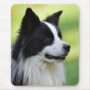 Recherche de border collie tapis souris Noir