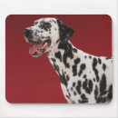 Recherche de dalmatiens tapis souris Dog