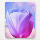 Recherche de tulipe photographie Mère