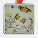 Recherche de insectes ornements Papillon