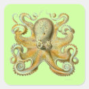 Recherche de haeckel autocollants Vintage