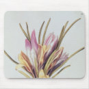 Recherche de nicolas tapis souris 17ème