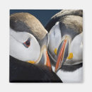 Recherche de macareux atlantique magnets Noir