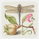 Recherche de insectes vintages autocollants Fleurs