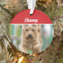 Recherche de terrier de cairn ornements Animaux domestiques