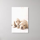 Recherche de parqueter posters Bébés