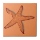 Recherche de vie aquatique carreaux Maritime