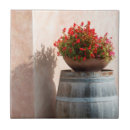 Recherche de la toscane carreaux Agriculture