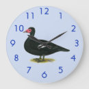Recherche de oiseaux aquatiques horloges Chasse