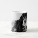 Recherche de cocker noir tasses Épagneul