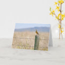 Recherche de toute occasion vœux cartes Faune