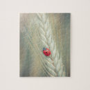 Recherche de coccinelle puzzles Insecte
