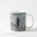Recherche de patagonia tasses Nature