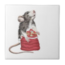 Recherche de rat carreaux Animal