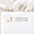 Recherche de bichon Dog