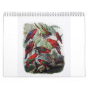 Recherche de perroquet calendriers Nature
