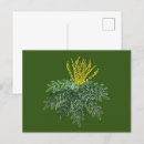 Recherche de dessins abstraits cartes postales Vert
