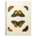 Recherche de de papillon carnets Blanc