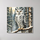 Recherche de dessin hibou toiles Chouette