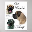 Recherche de mastiff anglais posters Animaux domestiques