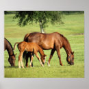 Recherche de pastoral art Ferme