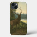 Recherche de la vie sauvage coques Animal